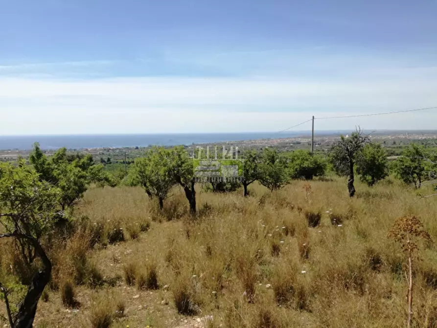 Immagine 7 di Terreno in vendita  in C/da Petrara Rociola a Avola
