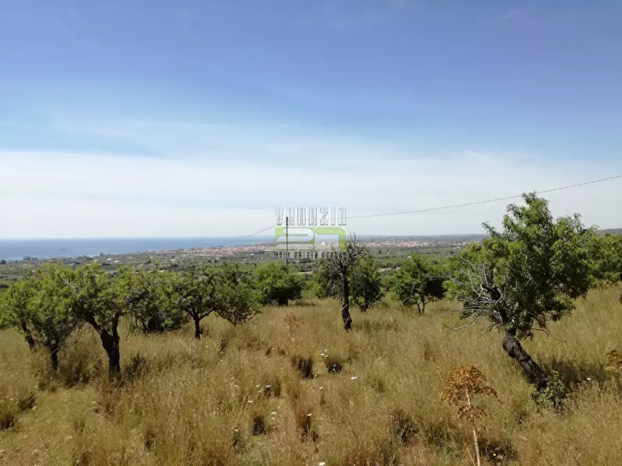 Immagine 9 di Terreno in vendita  in C/da Petrara Rociola a Avola