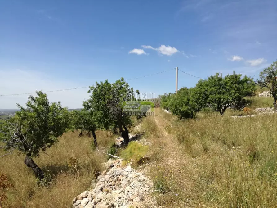 Immagine 10 di Terreno in vendita  in C/da Petrara Rociola a Avola