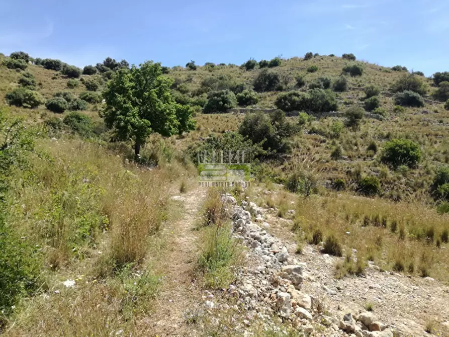 Immagine 11 di Terreno in vendita  in C/da Petrara Rociola a Avola