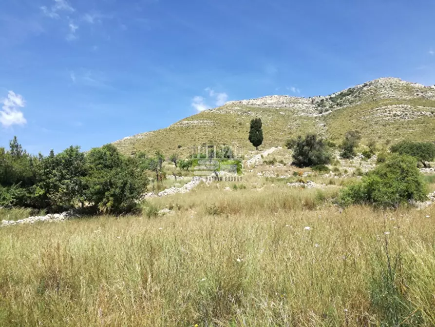 Immagine 12 di Terreno in vendita  in C/da Petrara Rociola a Avola