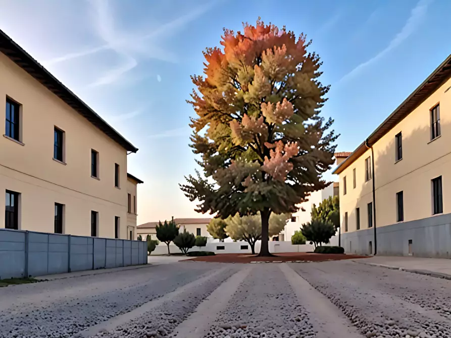 Immagine 3 di Attività commerciale in vendita  in Via Boschi a Resana