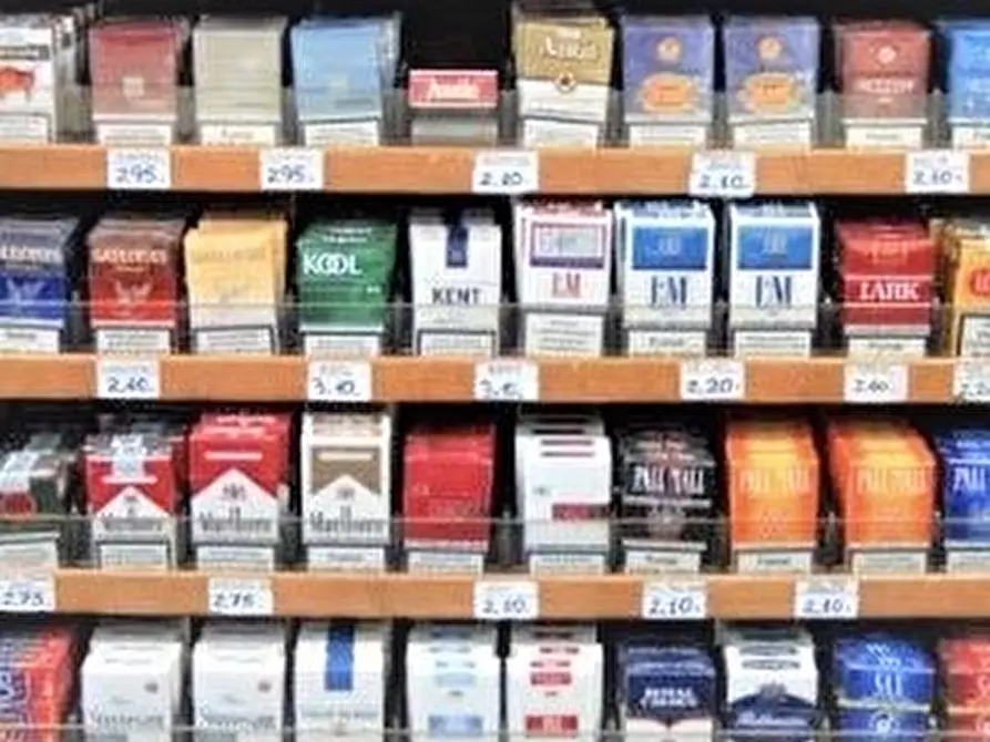 Immagine 7 di Attività commerciale in vendita  in Via Boschi a Resana