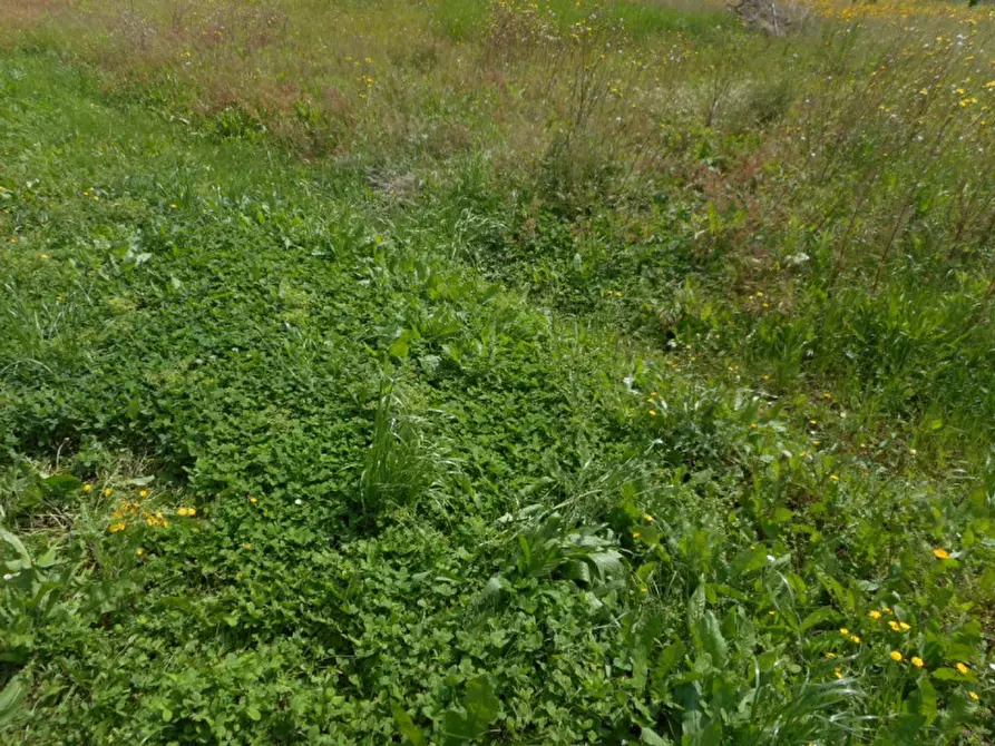 Immagine 18 di Casa indipendente in vendita  in via pilastrini a Castegnero