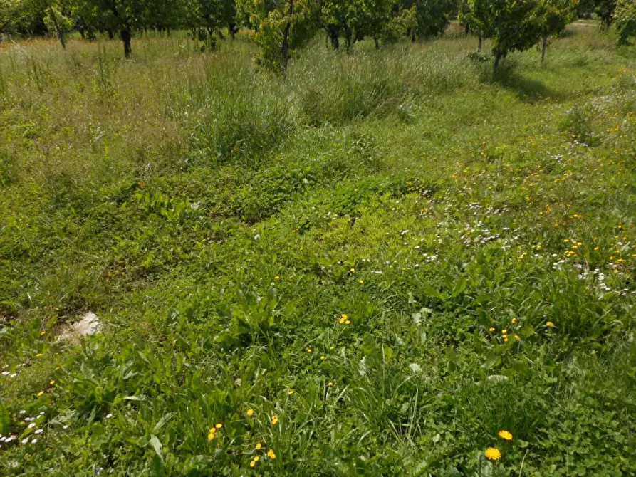 Immagine 19 di Casa indipendente in vendita  in via pilastrini a Castegnero