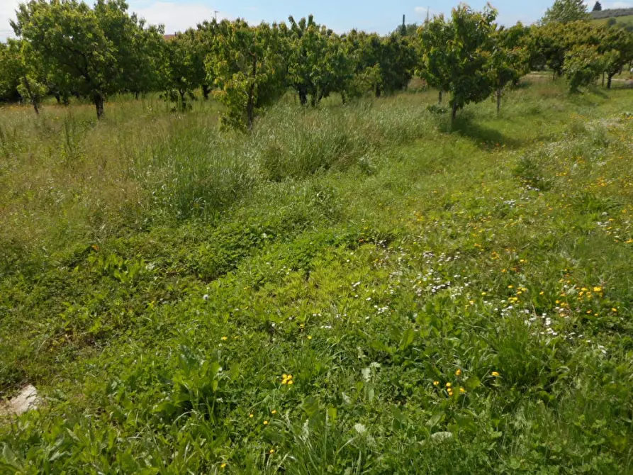 Immagine 20 di Casa indipendente in vendita  in via pilastrini a Castegnero