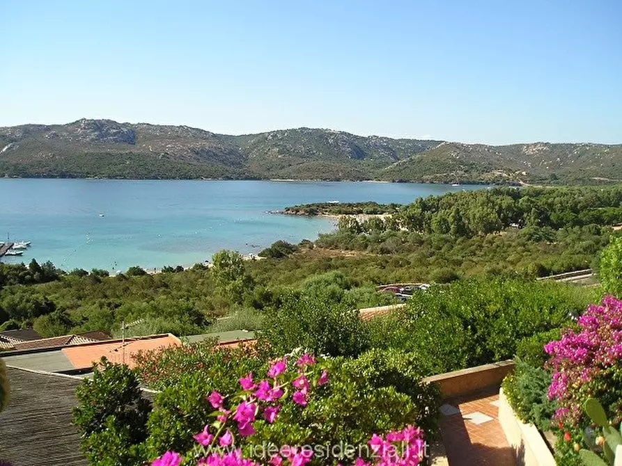 Immagine 3 di Hotel in vendita  a Palau