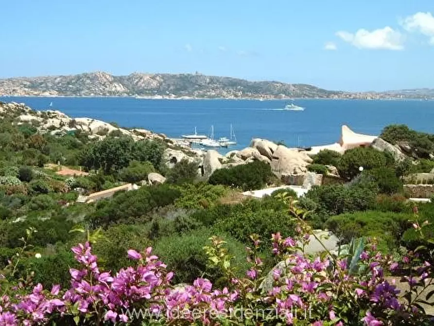 Immagine 7 di Hotel in vendita  a Palau