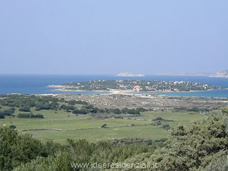 Immagine 9 di Hotel in vendita  a Palau