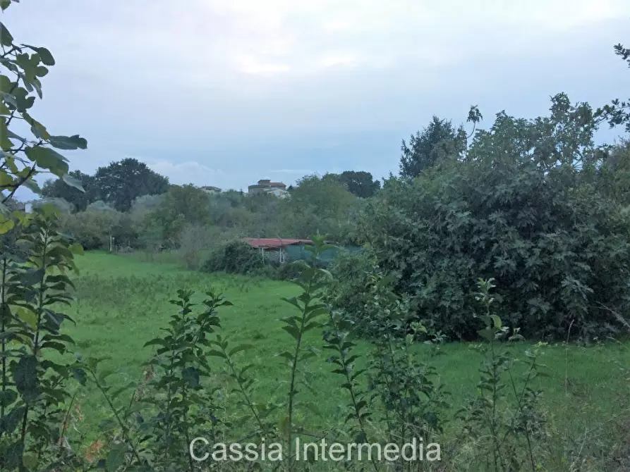 Immagine 3 di Terreno in vendita  in Via Saetta a Castel Sant'elia