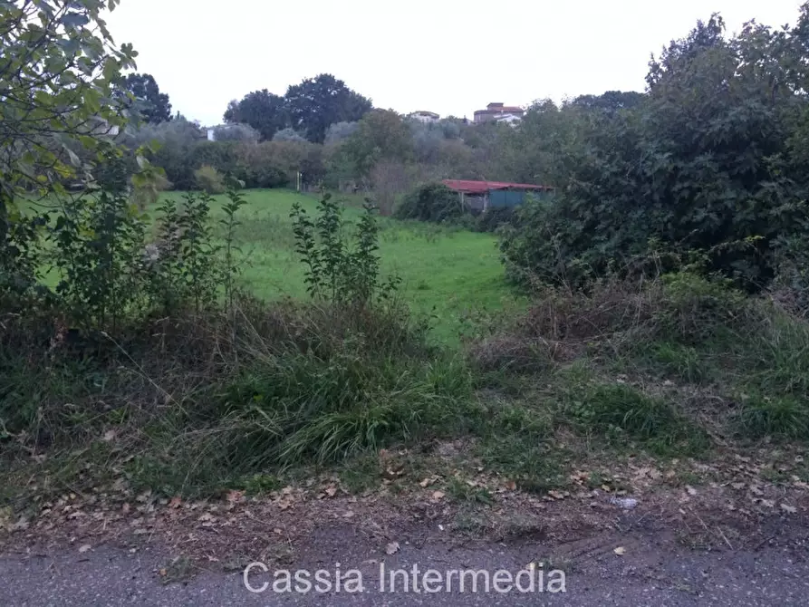 Immagine 4 di Terreno in vendita  in Via Saetta a Castel Sant'elia