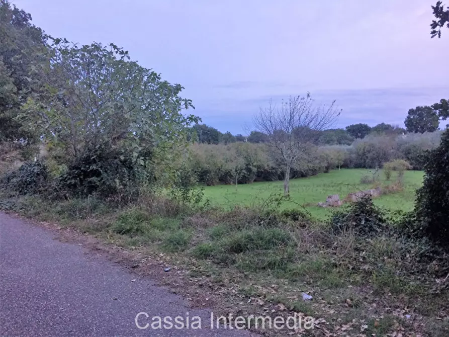 Immagine 5 di Terreno in vendita  in Via Saetta a Castel Sant'elia