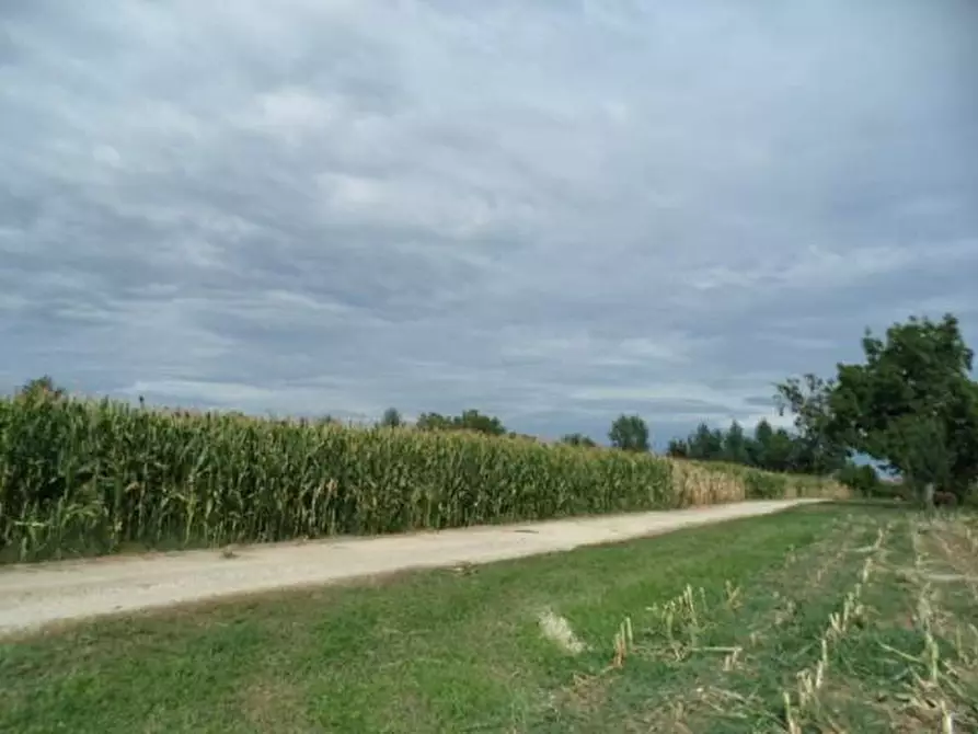 Immagine 5 di Terreno in vendita  in VIA MOROSINA a Ponso