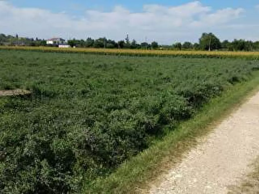 Immagine 6 di Terreno in vendita  in VIA MOROSINA a Ponso