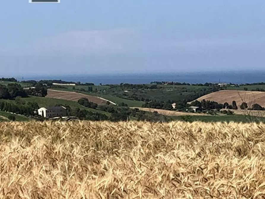 Immagine 3 di Casa indipendente in vendita  in Strada della Romana a Senigallia