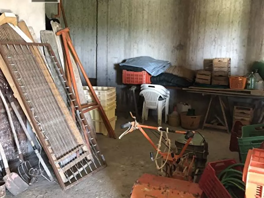 Immagine 23 di Casa indipendente in vendita  in Strada della Romana a Senigallia