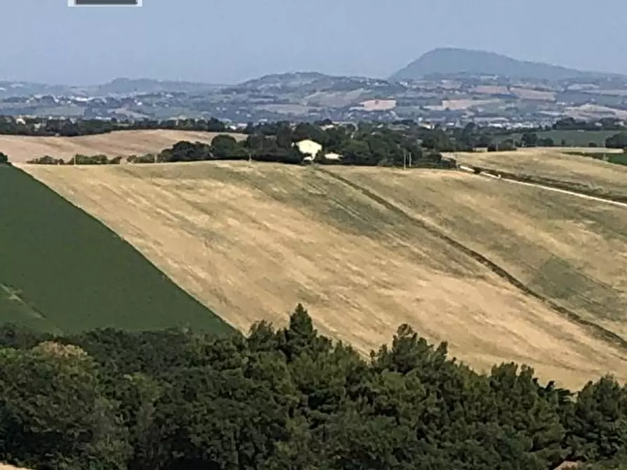 Immagine 25 di Casa indipendente in vendita  in Strada della Romana a Senigallia