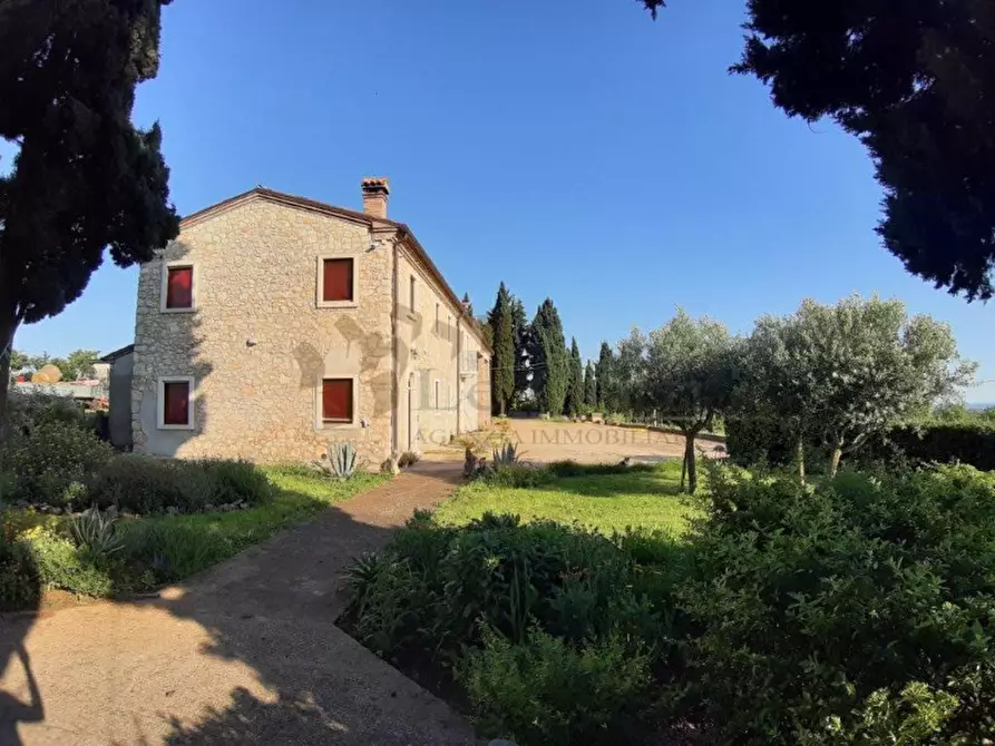 Immagine 1 di Rustico / casale in vendita  a Orgiano