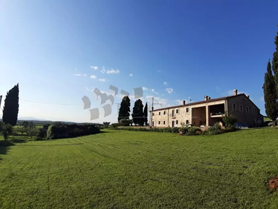 Immagine 2 di Rustico / casale in vendita  a Orgiano