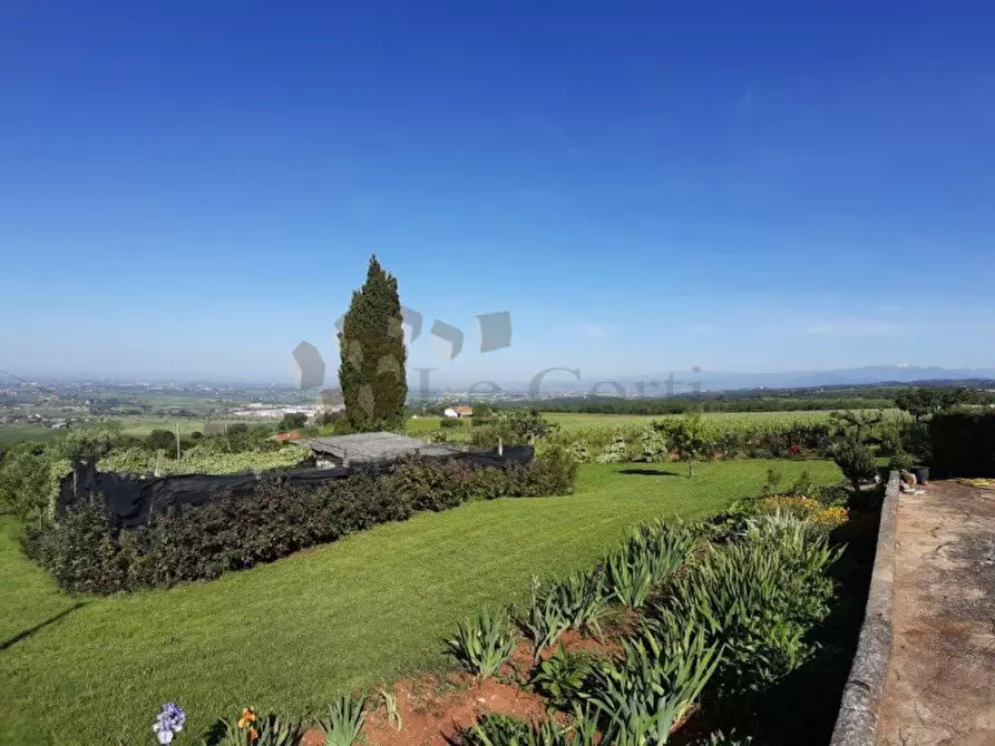 Immagine 3 di Rustico / casale in vendita  a Orgiano