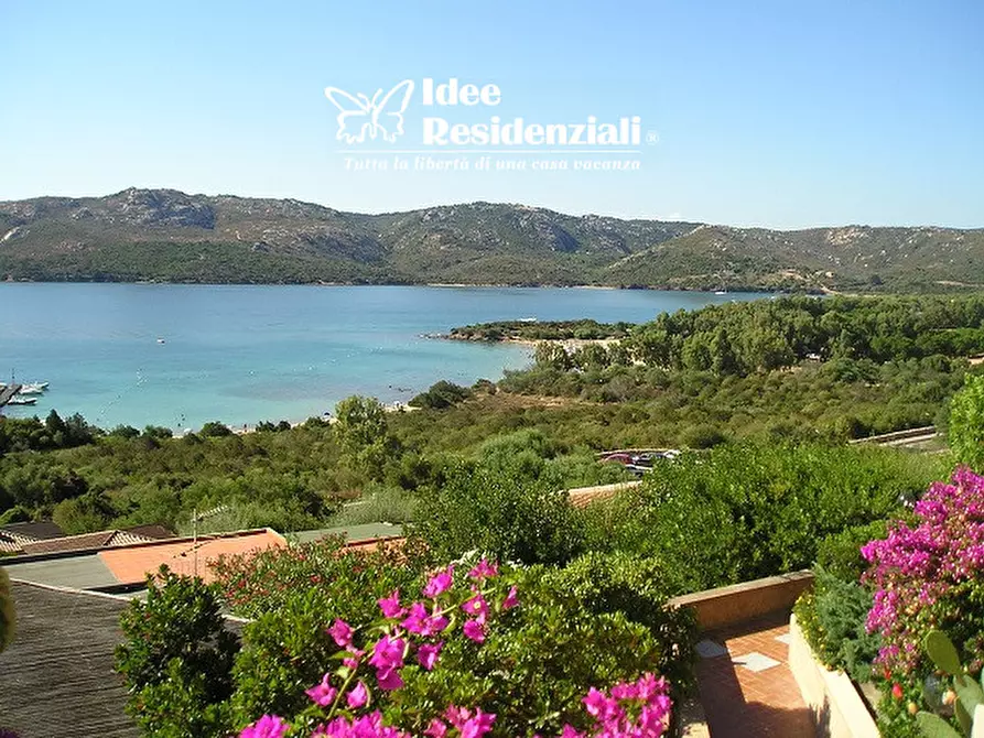 Immagine 1 di Villa in vendita  in porto mannu a Palau