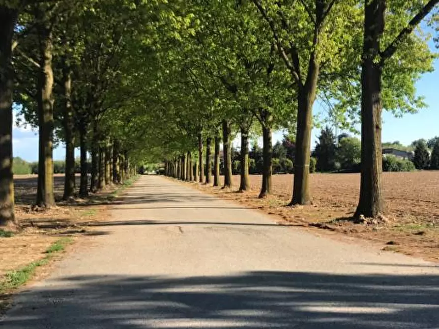 Immagine 2 di Villa in vendita  in Cascina Cornarina a Castano Primo