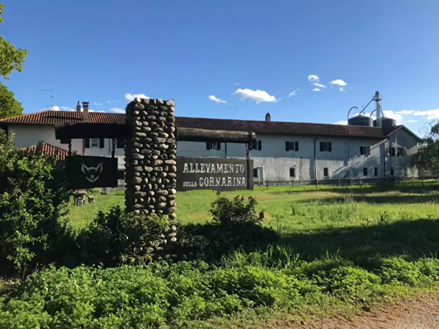 Immagine 6 di Villa in vendita  in Cascina Cornarina a Castano Primo