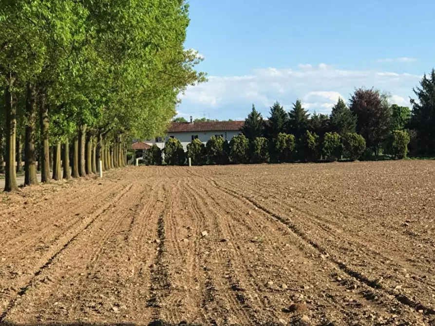 Immagine 7 di Villa in vendita  in Cascina Cornarina a Castano Primo