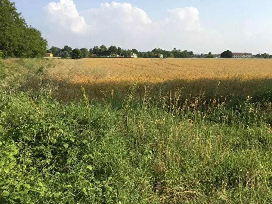 Immagine 1 di Terreno in vendita  in via conselvana a Masera' Di Padova