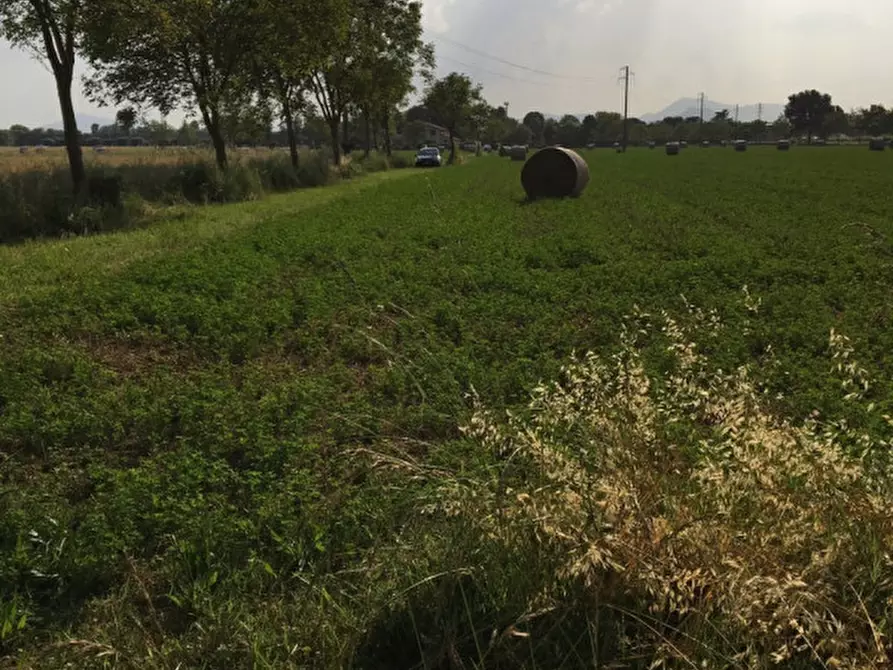 Immagine 2 di Terreno in vendita  in via conselvana a Masera' Di Padova