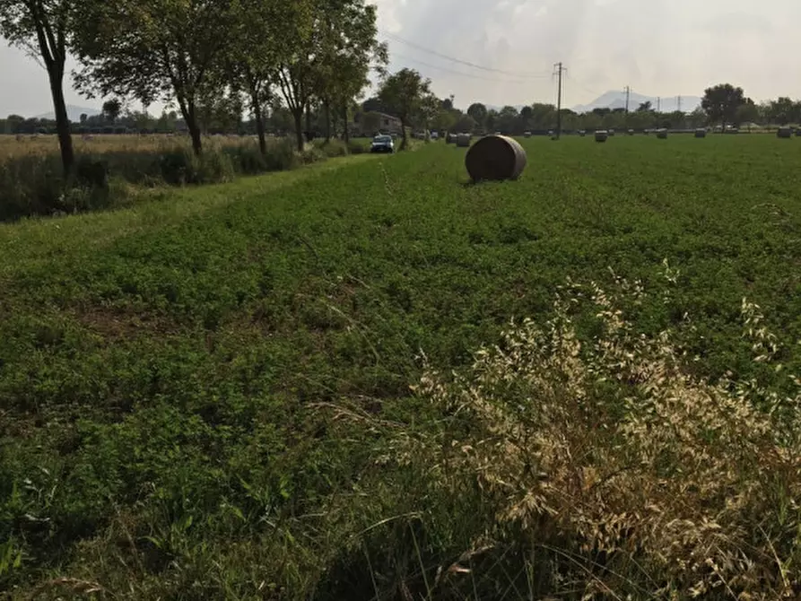 Immagine 3 di Terreno in vendita  in via conselvana a Masera' Di Padova