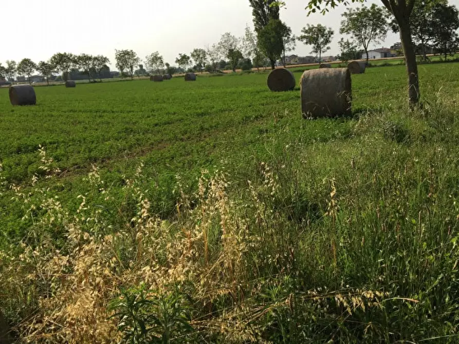 Immagine 5 di Terreno in vendita  in via conselvana a Masera' Di Padova