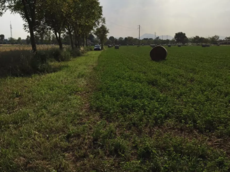 Immagine 6 di Terreno in vendita  in via conselvana a Masera' Di Padova