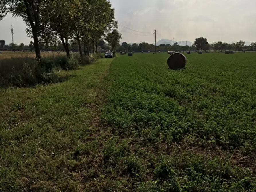 Immagine 7 di Terreno in vendita  in via conselvana a Masera' Di Padova