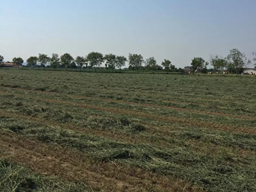 Immagine 9 di Terreno in vendita  in via conselvana a Masera' Di Padova