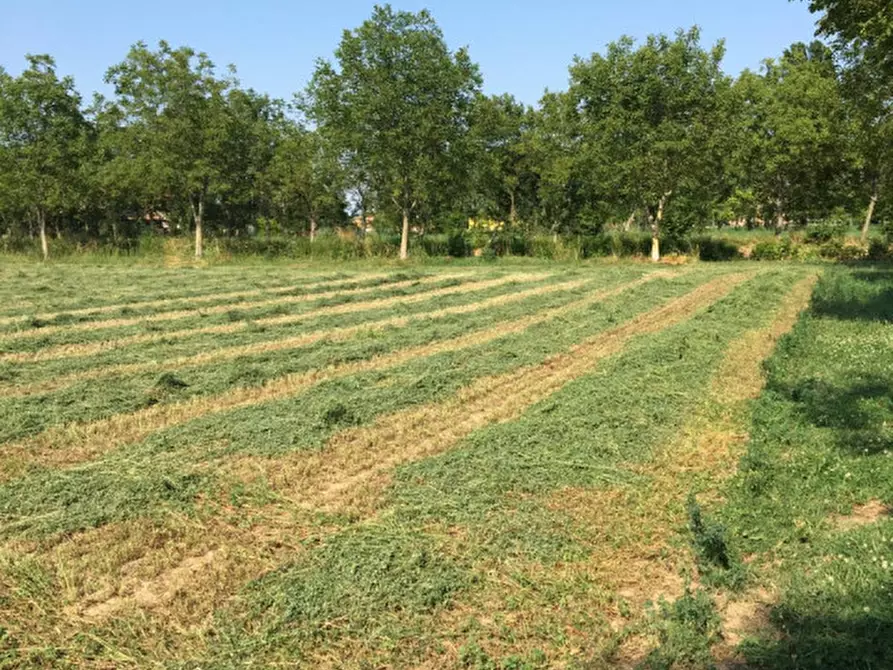 Immagine 10 di Terreno in vendita  in via conselvana a Masera' Di Padova