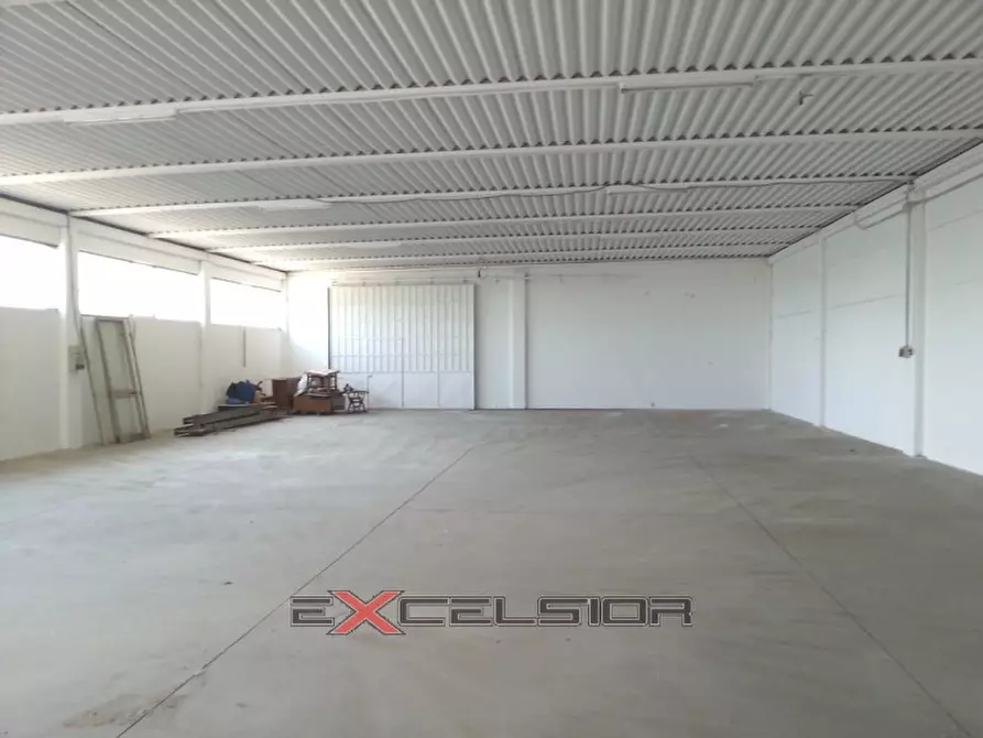 Immagine 2 di Capannone industriale in affitto  in Corso Risorgimento n. 160 a Taglio Di Po