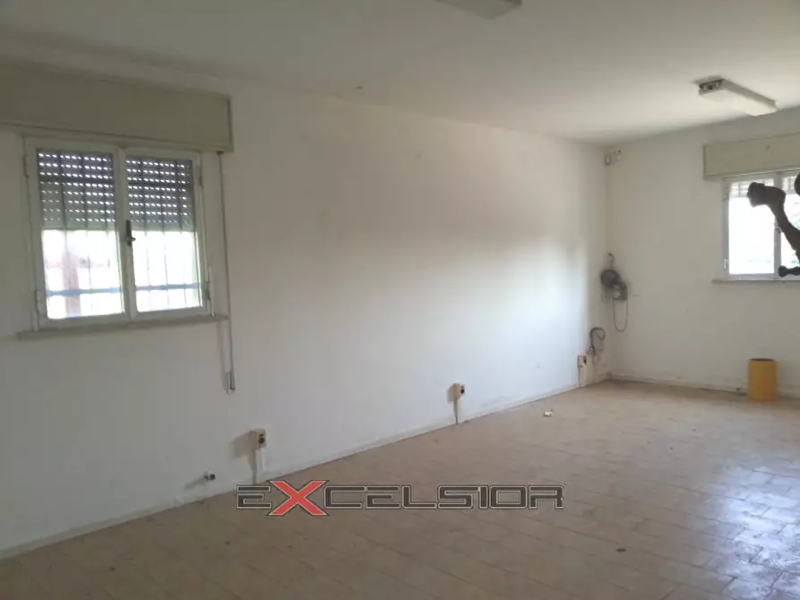 Immagine 3 di Capannone industriale in affitto  in Corso Risorgimento n. 160 a Taglio Di Po