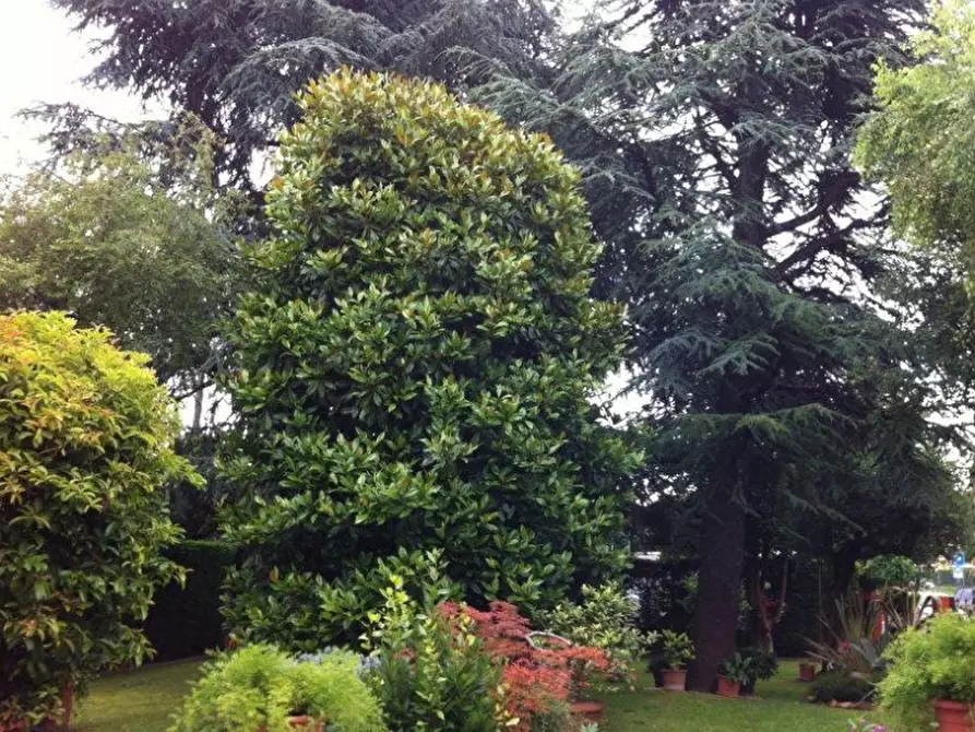 Immagine 2 di Casa indipendente in vendita  in Villatora di Saonara a Saonara