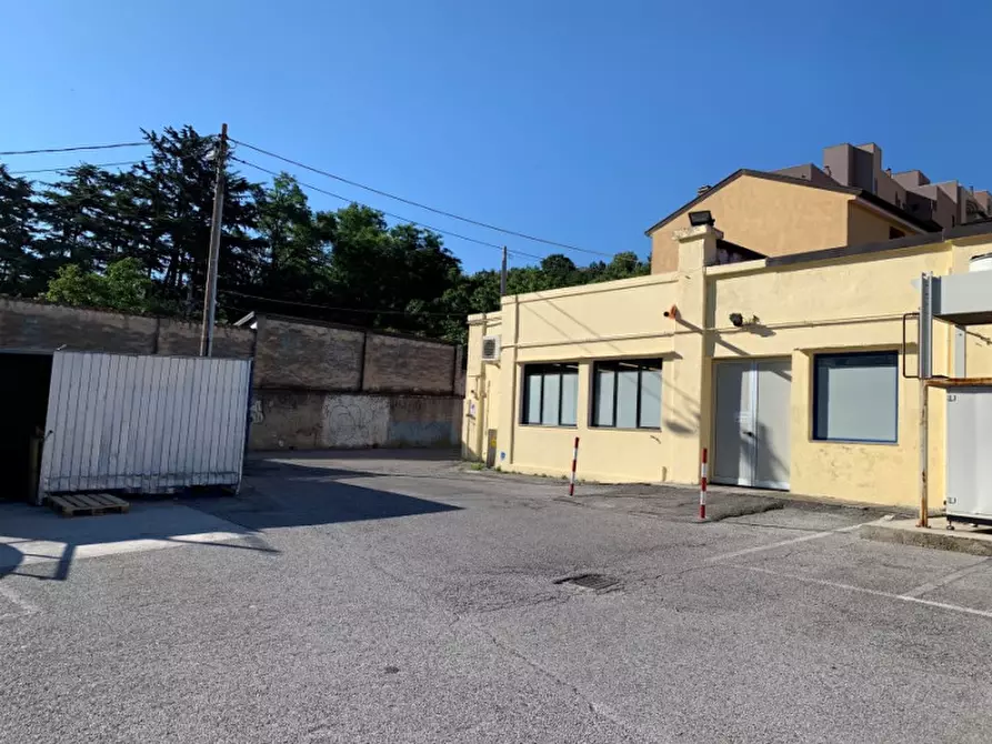 Immagine 18 di Negozio in vendita  in Via del Destriero 19 a Trieste