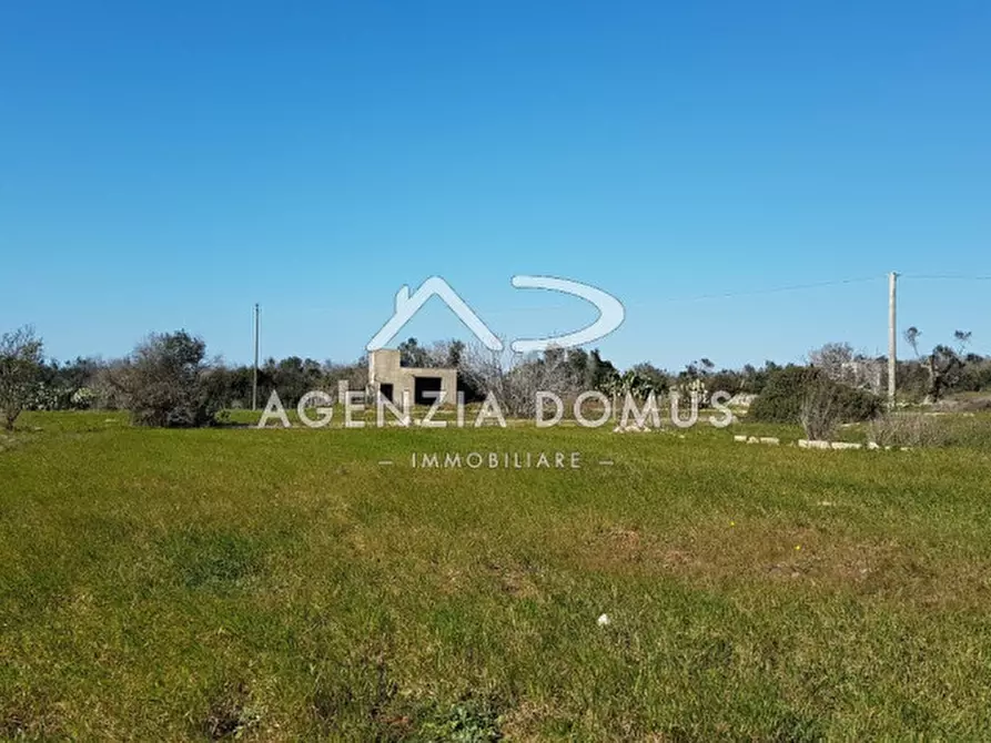 Immagine 5 di Rustico / casale in vendita  in Località Cornolelle a Alliste