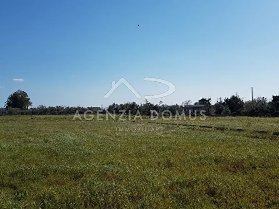 Immagine 8 di Rustico / casale in vendita  in Località Cornolelle a Alliste