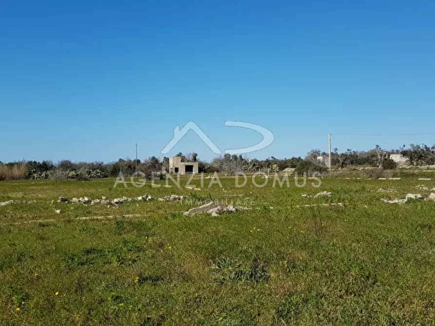 Immagine 9 di Rustico / casale in vendita  in Località Cornolelle a Alliste