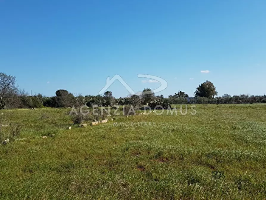 Immagine 11 di Rustico / casale in vendita  in Località Cornolelle a Alliste