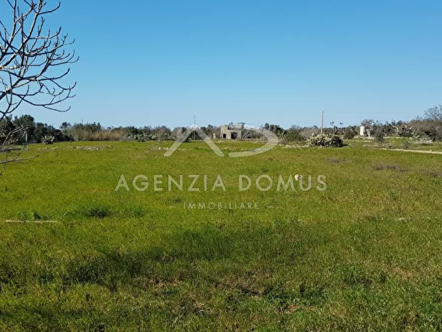 Immagine 12 di Rustico / casale in vendita  in Località Cornolelle a Alliste