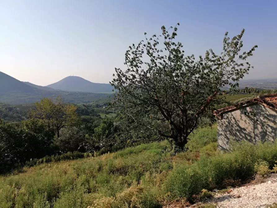 Immagine 25 di Rustico / casale in vendita  in Via principe umbero a Cinto Euganeo