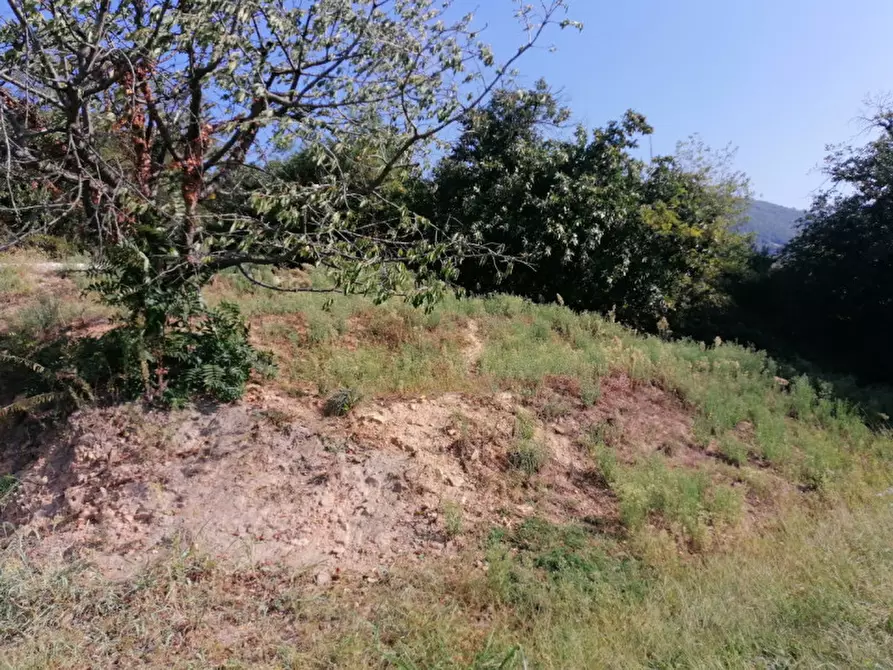 Immagine 29 di Rustico / casale in vendita  in Via principe umbero a Cinto Euganeo