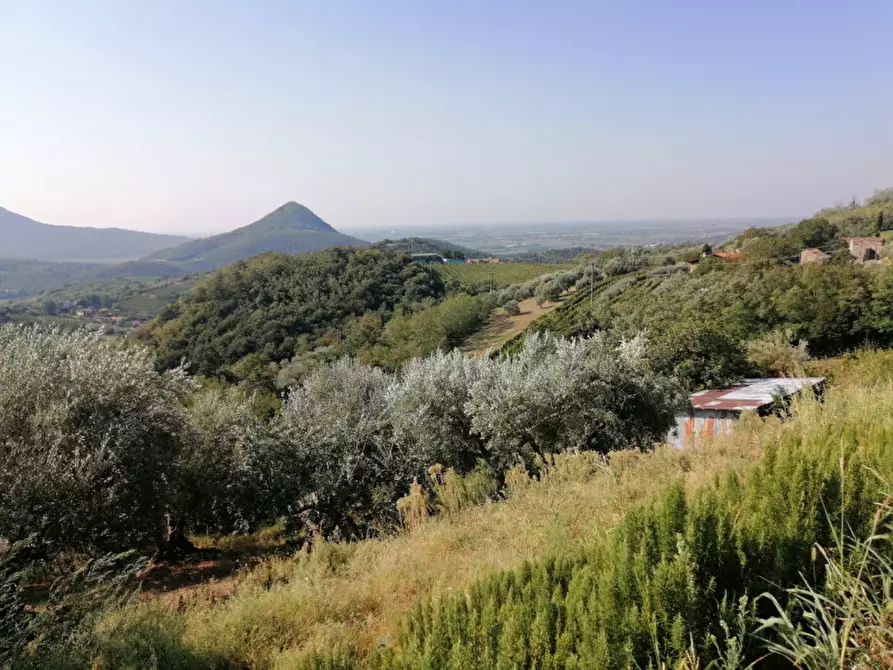 Immagine 32 di Rustico / casale in vendita  in Via principe umbero a Cinto Euganeo