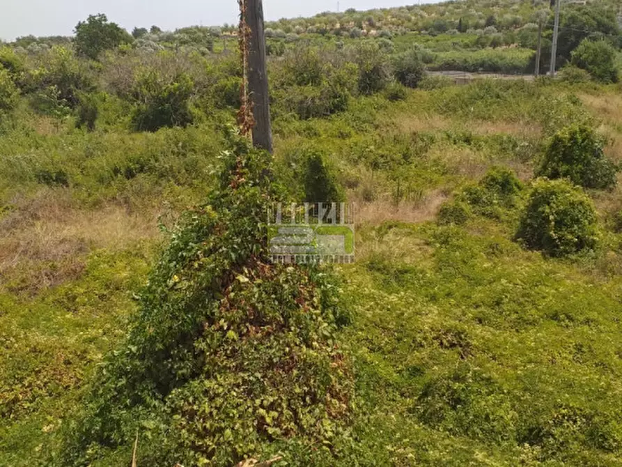 Immagine 5 di Rustico / casale in vendita  in contrada Faldino a Noto