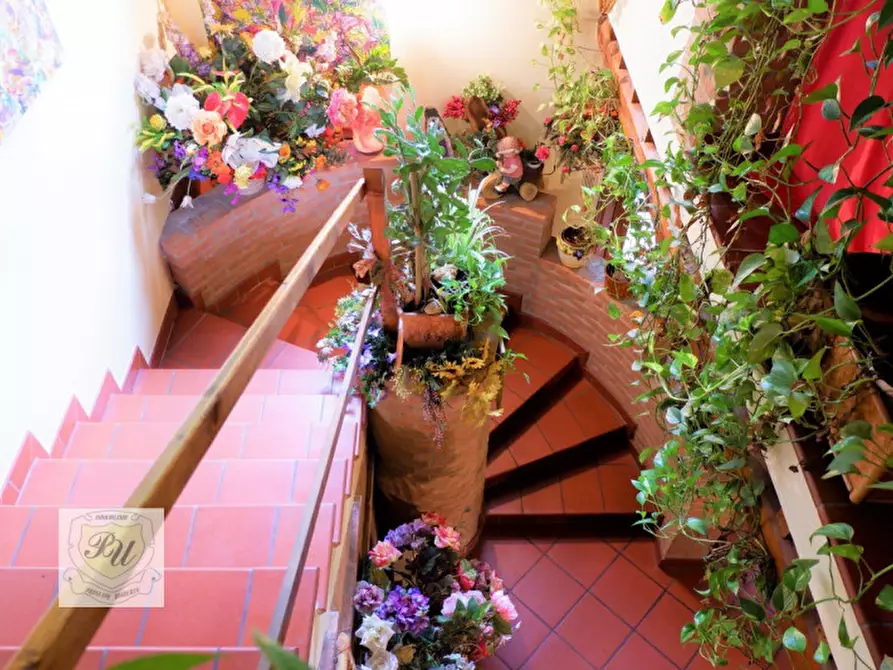 Immagine 38 di Villa in vendita  in via principe umberto 54/b a Cinto Euganeo